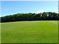 Playing Fields, Ardingly College