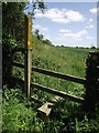 Footpath to Glenfield