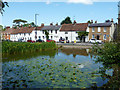 Pond, Bushey