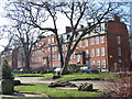 Canonbury Gardens and flats on Canonbury Villas, N1