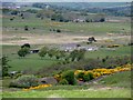 Middles Farm from the old railway