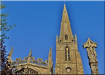 SP9668 : Higham Ferrers: St. Mary's Church tower and spire by Michael Garlick
