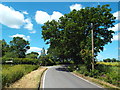 Old Church Road, near Mountnessing