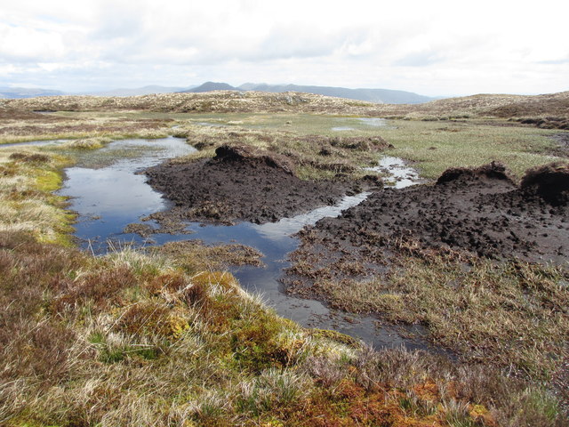 Exposed peat and marshy pond