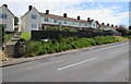 Long row of West Park houses, Castle Cary