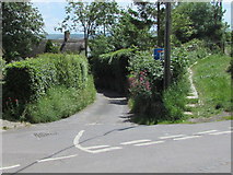 ST5910 : Hedge-lined Mill Lane, Yetminster by Jaggery