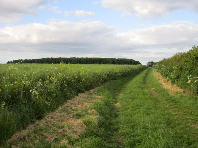 Footpath towards Ulceby
