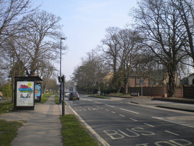 Tadcaster Road, Dringhouses