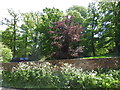 SU4266 : Motte, Hamstead Park by Vieve Forward