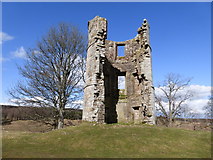 NS8431 : Site of Douglas Castle by kim traynor