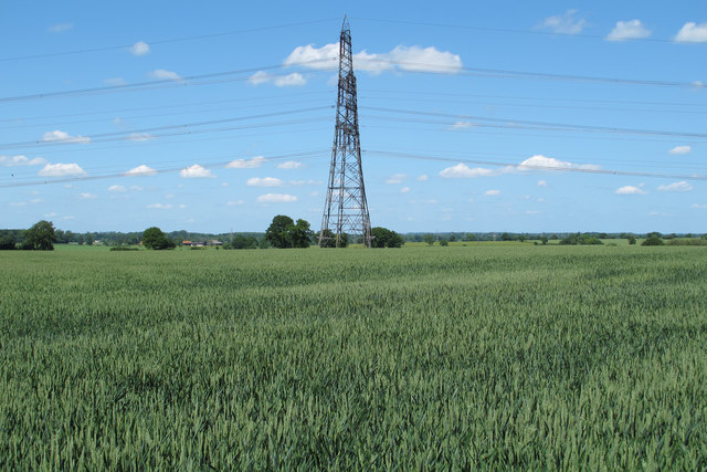 Pylon on wheat field, near Lawrence's Farm, Rushley Green