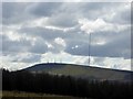 SD6514 : Winter Hill from Anglezarke Moor by Philip Platt
