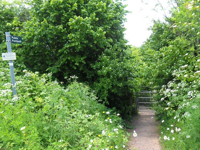 Footpath off Lydney bypass