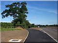 New path, Kingskerswell Road