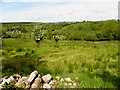 Lisgorran Townland