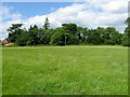 Barn Field