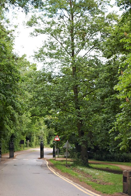 The Gates of Hylands Park