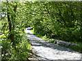 Old Military Road near Townhead Bridge