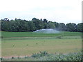 Irrigation near Sandpit Plantation