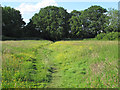 Path through meadow near Oak Road, Halstead