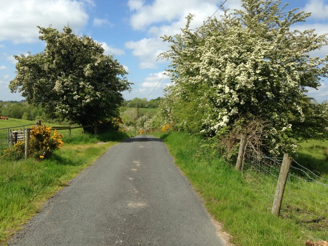 Cloghan Road, Drumnakilly