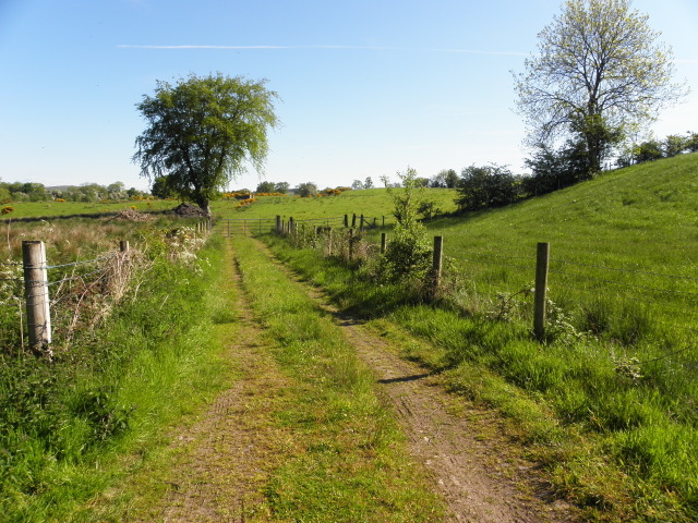 Lane, Drumnakilly © Kenneth Allen :: Geograph Ireland