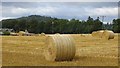 Round bales, The Snabs