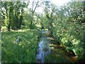 Cripsey Brook at Ongar Bridge