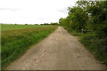 SU4590 : Bridleway to Steventon by Steve Daniels