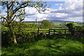 NY5764 : Stile and gate near Banks by Ian Taylor