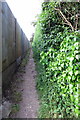 Footpath to the church