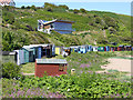 Beach huts at Coldingham Sands