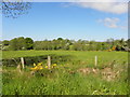 Drumnakilly Townland