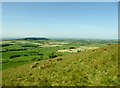 On Parlick Fell