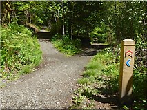 NS4276 : Overtoun House Nature Trail by Lairich Rig