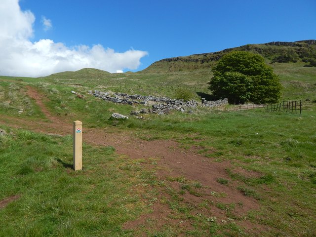 Path beside old sheepfold