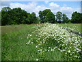 The far south of Greater London