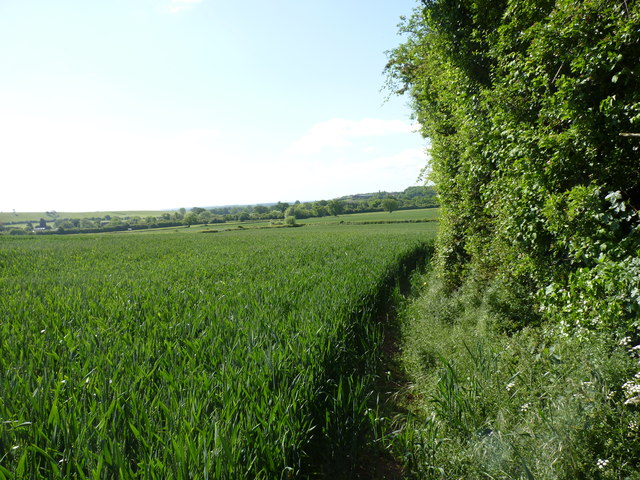Looking for footpath (Right)
