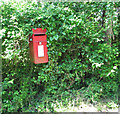 Postbox in hedge, Denham Street