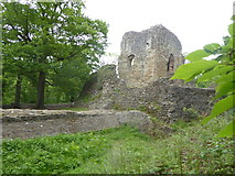 SJ2867 : Ewloe Castle by Eirian Evans