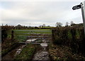 Muddy access to a public footpath near Westbury-on-Severn