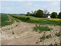 Track past Malmains Farm