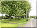 Main Street, Longforgan