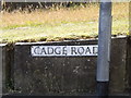 TG1909 : Cadge Road sign by Geographer