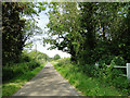 A shady lane at Beckett End