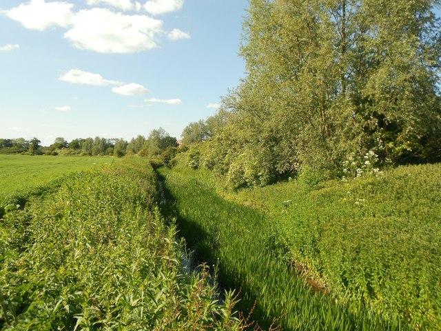 Cripsey Brook in Chipping Ongar