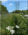 Overgrown footpath near Shipton-on-Cherwell