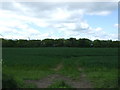 Crop field, High Sharpley