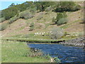 NM8620 : River Euchar in Glen Scammadale by sylvia duckworth