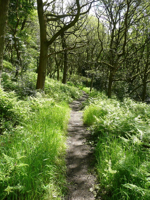 Elland FP12 in Elland Park Wood © Humphrey Bolton cc-by-sa/2.0 ...